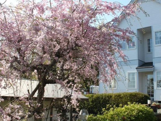 伊東の伊豆高原教会 カペラ デル フィオーレ周辺のホテル 2021おすすめ旅館 宿 Trip Com