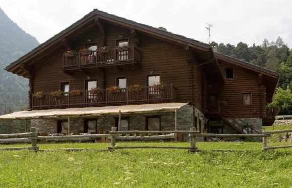 貓頭鷹鄉村民宿