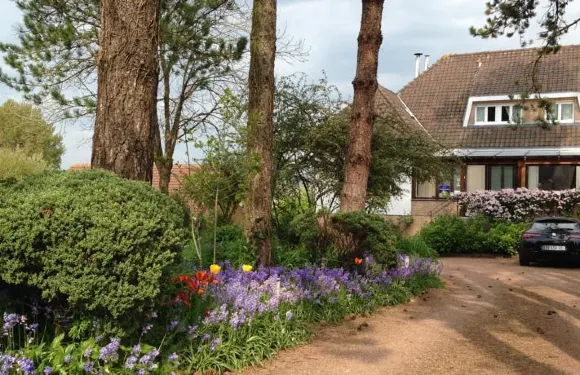 綠地住宿加早餐酒店