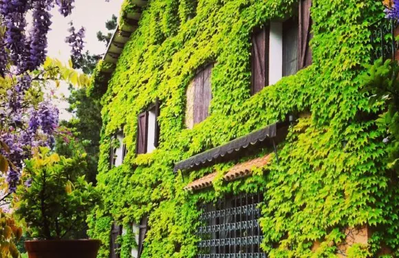 拉瑪西亞韋斯達艾爾摩酒店