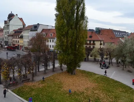 Hotel am Goethehaus - Housity