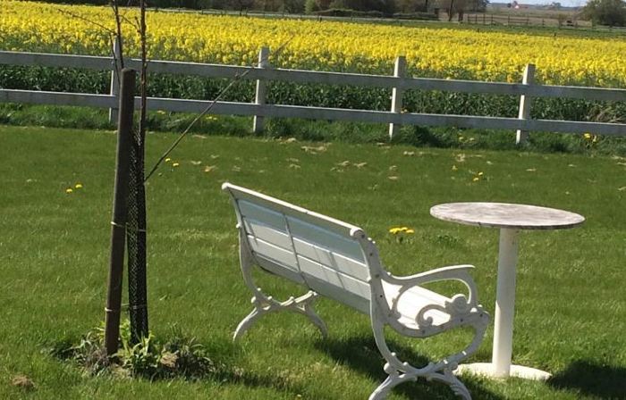 Villa Sandby B&B