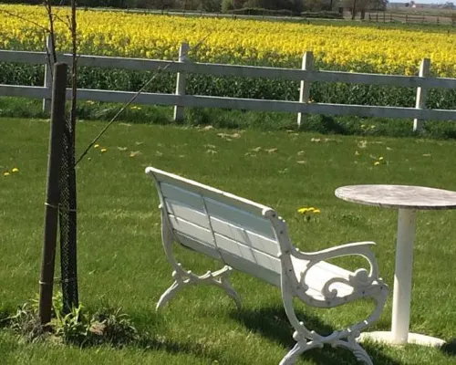 Villa Sandby B&B Hotels in Löderup
