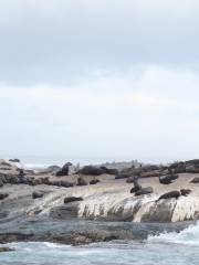 Duiker Island