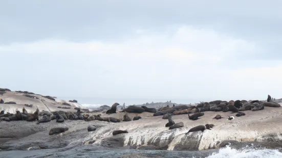 Duiker Island