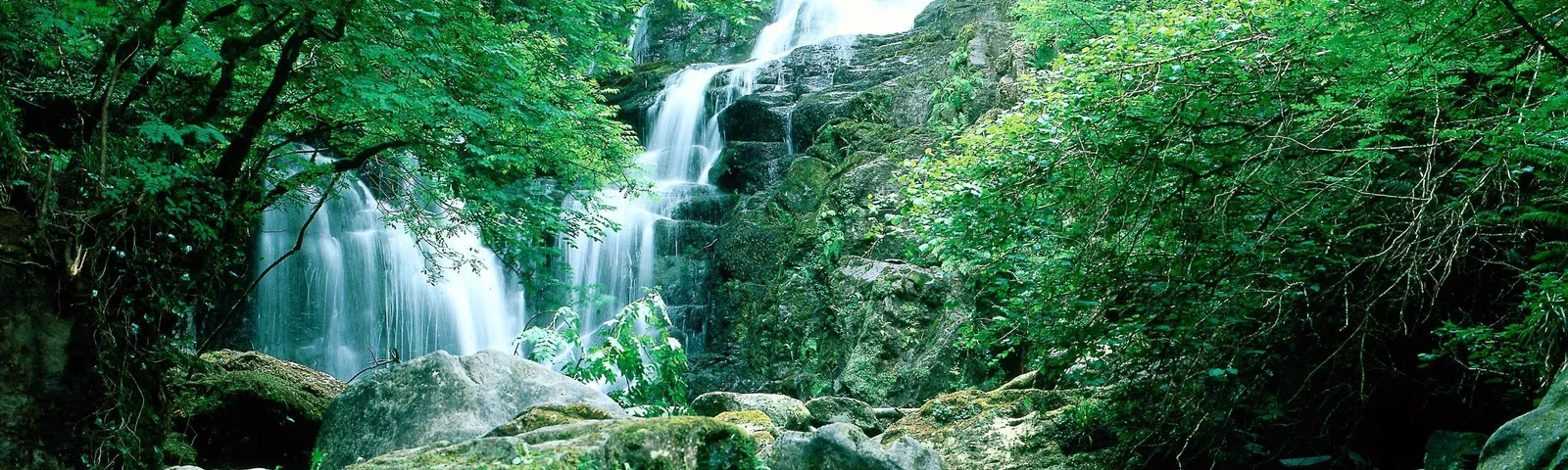 KillarneyTour giornalieri