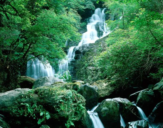 基拉尼 自由行套票