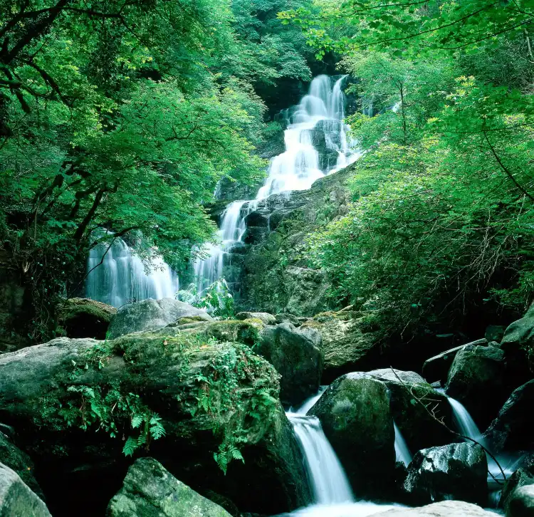Hotels near Killarney Railway Station