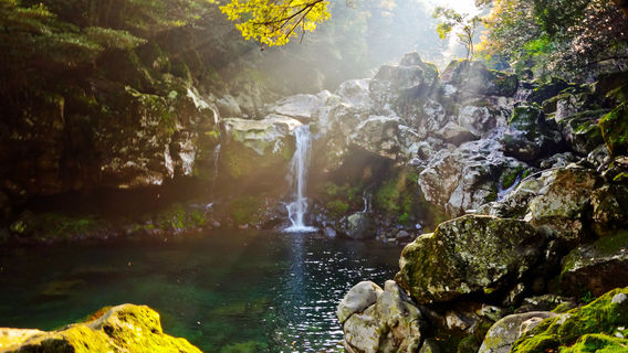 Hallasan National Park