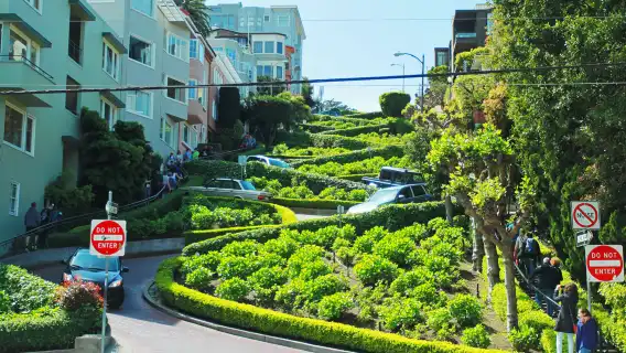 美國舊金山+九曲花街+漁人碼頭+金門大橋+舊金山藝術宮一日遊