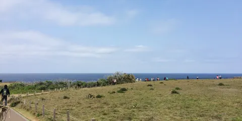 沖繩+萬座毛+古宇利島+沖繩美麗海水族館+美國村【中文包車】