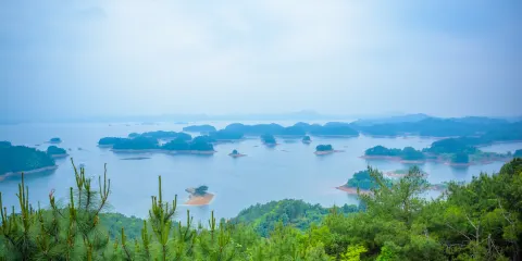 杭州千島湖景區純玩跟團1日遊【千島湖遊船 遊湖攬全景】