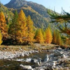 Parc National Du Mercantour Travel Guidebook Must Visit Attractions In Provence Parc National Du Mercantour Nearby Recommendation Trip Com