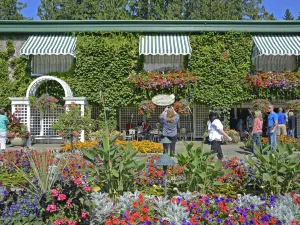 The Butchart Gardens