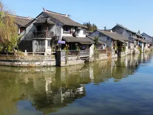 Fengjing Ancient Water Town Private Tour from Shanghai