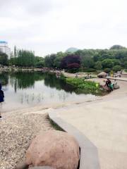 都市公園