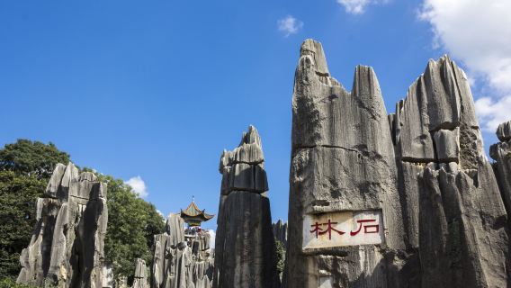 Day Tour from Kunming to Stone Forest with Tasting Crossing Bridge Noodles
