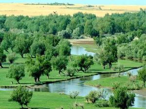 Ulungu Lake National Wetland Park