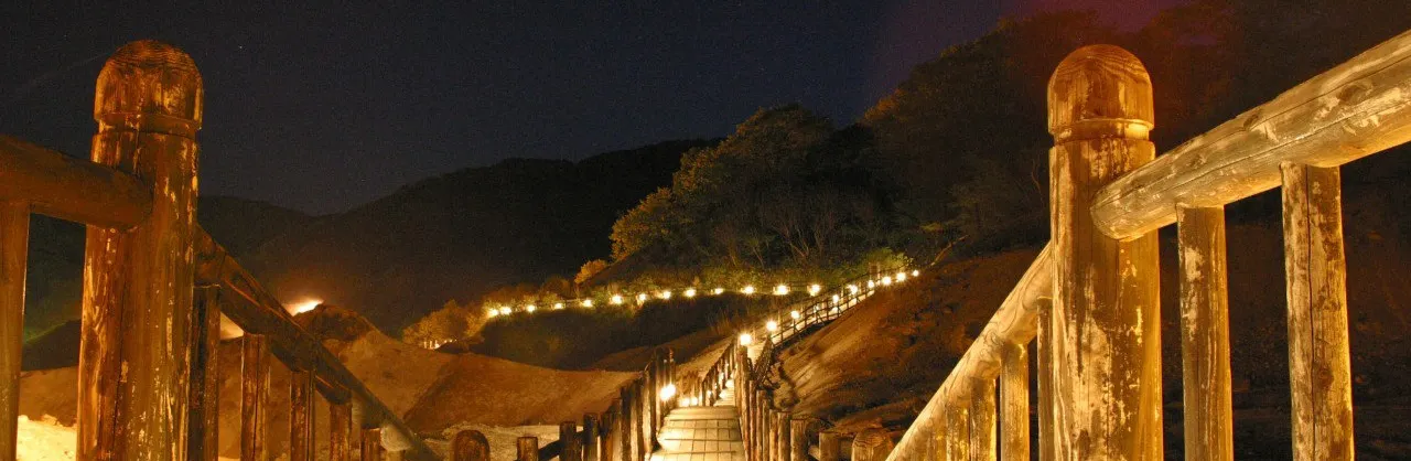 Night Attractions