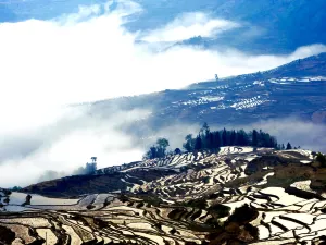 Yuanyang Hani Terrace