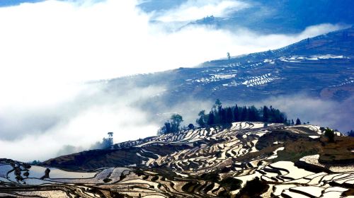 Honghe Hani Rice Terraces