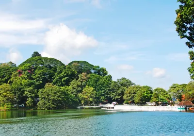 Kandy