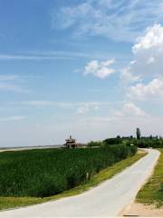 黃河外灘國家濕地公園