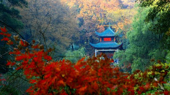 湖南長沙嶽麓山一日遊【舒適包車+上門接送+車型自選】