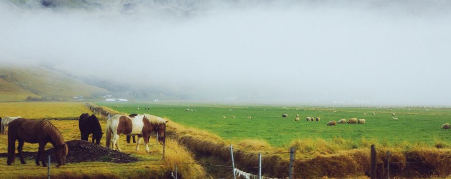 Suðurland
