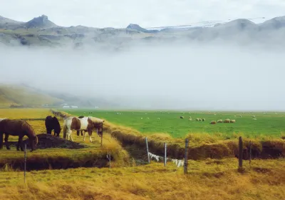 Suðurland