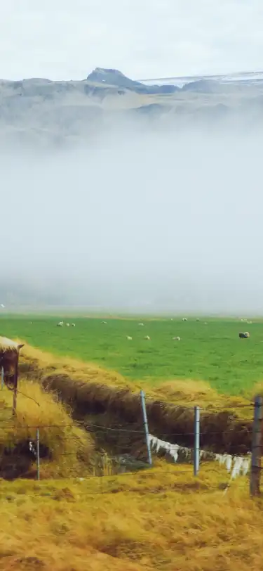 Islanda: hotel con servizio colazione nella provincia di Suðurland