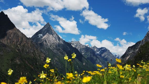 Montagna Siguniang - Valli Shuangqiao + Changping [tour autentico senza acquisti + opzione gruppo di 8 persone con spettacolo serale tradizionale in omaggio]