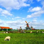 Netherlands