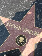 Hollywood Walk Of Fame HQ