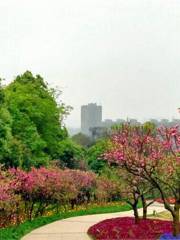 成都植物園