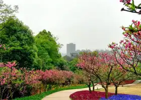 Ботанический сад Чэнду