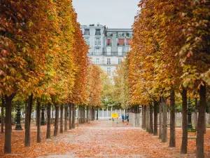 Tuileries Garden
