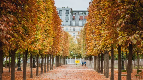 Tuileries Garden attraction in Paris