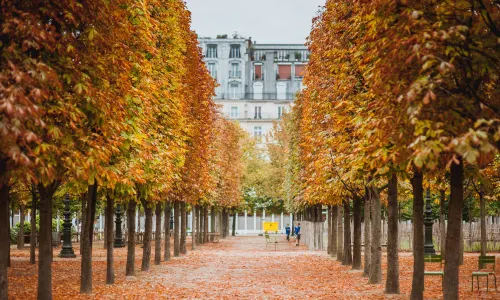 Tuileries Garden
