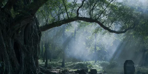 福建霞浦北岐灘塗+楊家溪+小皓海灘+東壁一日遊【包車純玩】