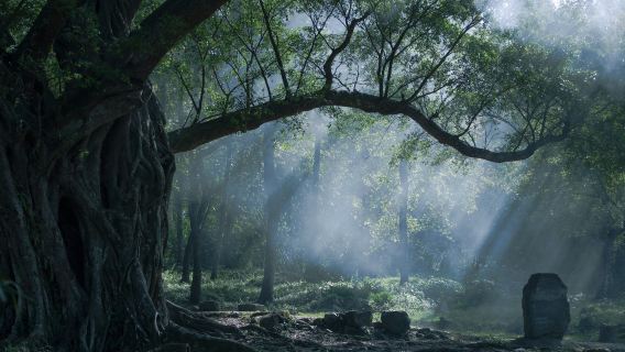 福建霞浦北岐灘塗+楊家溪+小皓海灘+東壁一日遊【包車純玩】