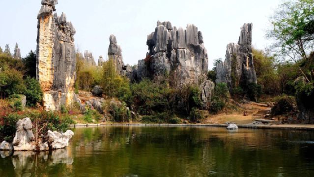 昆明石林風景區+滇池+海埂公園私家團【三環內接駁+1單1團】