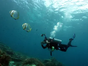 Sipadan Island