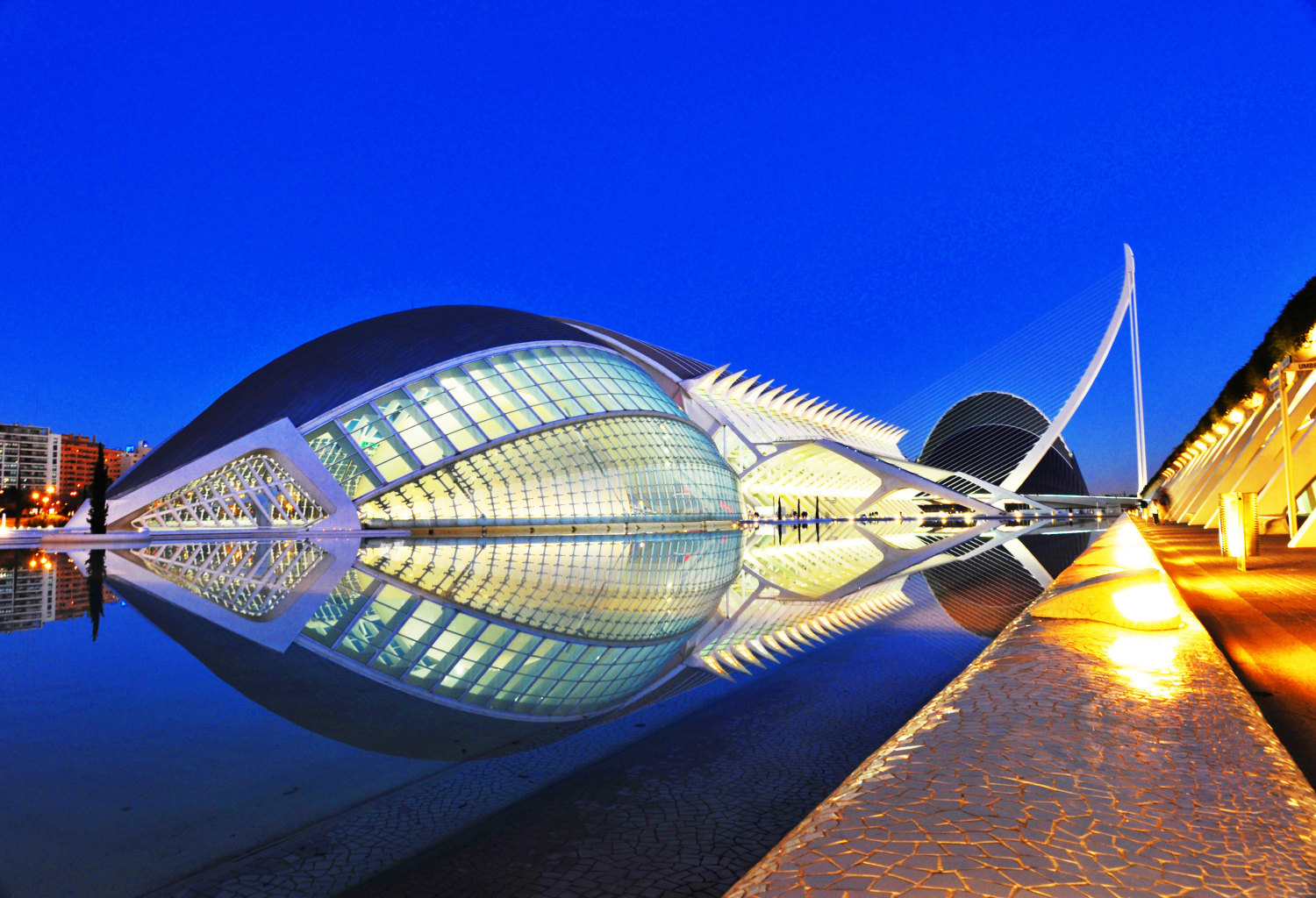 Popular Night Attractions in Valencia