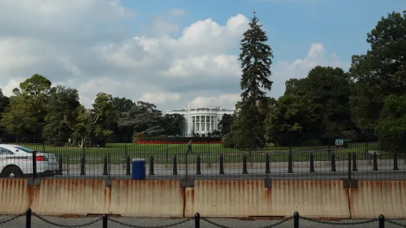 Washington, D.C.: White House & Capitol 1-day tour(Includes cruise)