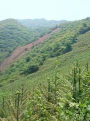 Tianmenshan