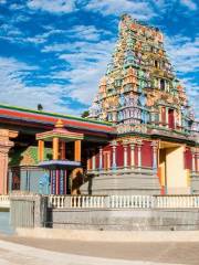 Sri Siva Subramaniya Swami Temple