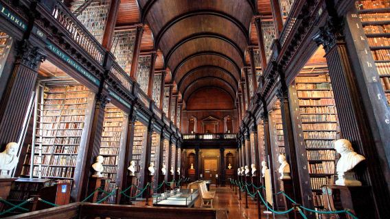Trinity College Library, National Gallery of Ireland, and Dublin Castle one-day tour