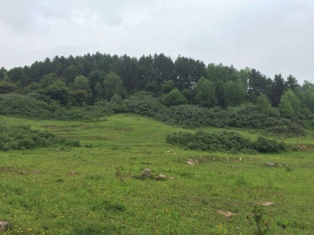 龐泉溝
