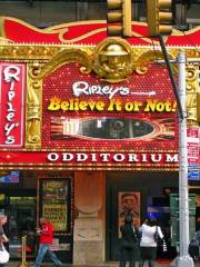 Ripley's Believe It or Not! Times Square